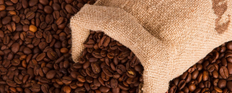 Кофе для истинных ценителей: секреты выбора идеального кофейного зерна